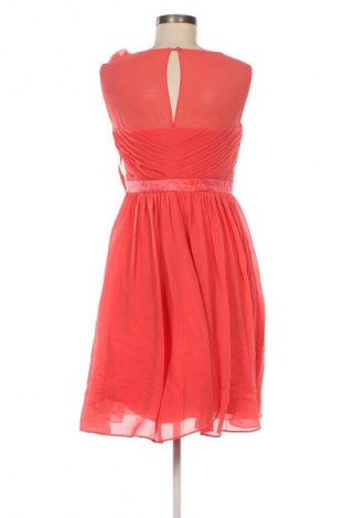 Kleid Coast, Größe M, Farbe Rosa, Preis € 33,99