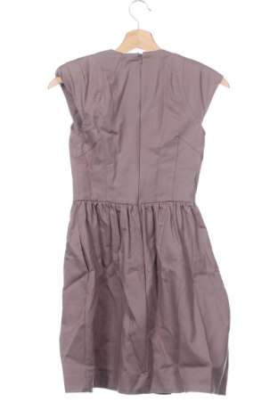 Kleid French Connection, Größe XS, Farbe Grau, Preis € 17,99