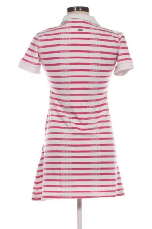 Kleid Lacoste, Größe M, Farbe Rosa, Preis 66,00 €