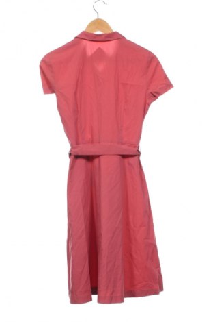 Kleid Montego, Größe S, Farbe Rosa, Preis € 14,84