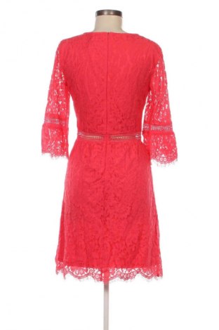 Kleid Motivi, Größe S, Farbe Rosa, Preis 31,49 €