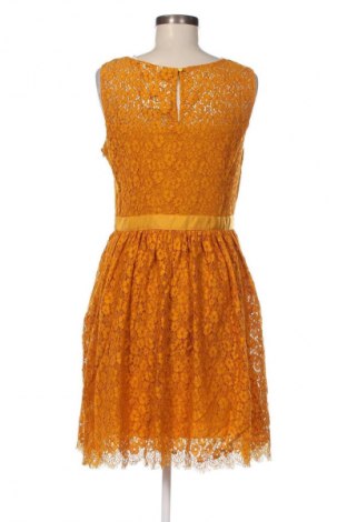 Kleid Naf Naf, Größe M, Farbe Orange, Preis 17,49 €