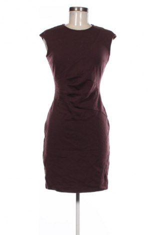 Kleid Seventy Sergio Tegon, Größe XS, Farbe Lila, Preis 20,99 €