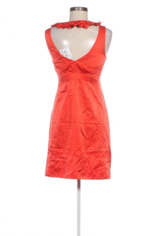 Kleid Ted Baker, Größe M, Farbe Rot, Preis 76,99 €