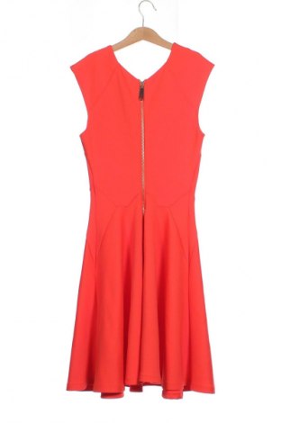 Kleid Ted Baker, Größe XS, Farbe Orange, Preis 20,25 €