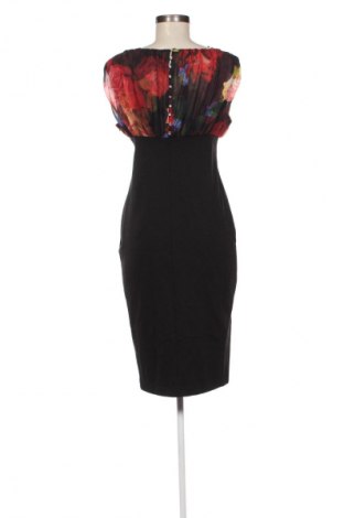 Kleid Ted Baker, Größe S, Farbe Mehrfarbig, Preis 109,49 €