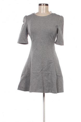 Kleid Zara Trafaluc, Größe M, Farbe Grau, Preis 6,99 €