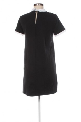 Kleid Zara Trafaluc, Größe S, Farbe Schwarz, Preis 33,99 €