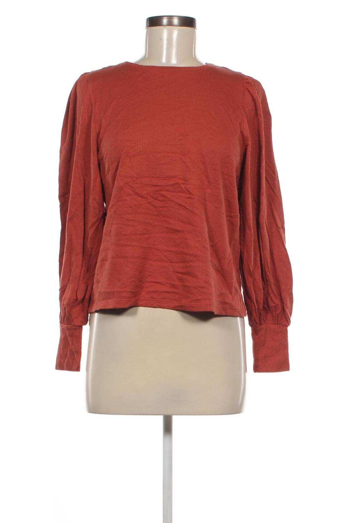 Damen Shirt Bonobo, Größe L, Farbe Braun, Preis 10,99 €