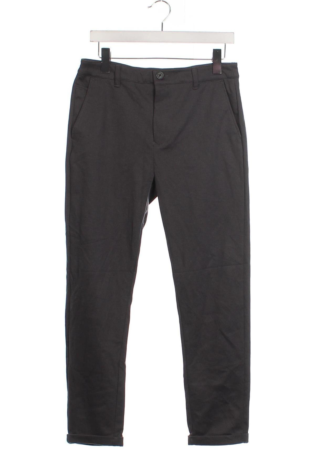 Herrenhose Smog, Größe S, Farbe Grau, Preis 27,49 €