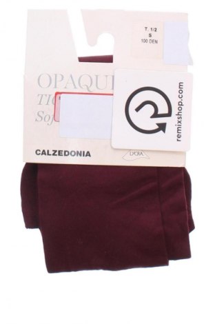 Strumpfhose Calzedonia, Größe S, Farbe Rot, Preis € 16,99