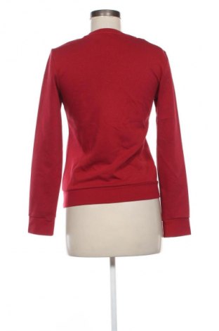 Dámska blúza Adidas, Veľkosť M, Farba Červená, Cena  17,39 €