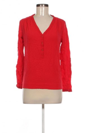 Damen Shirt Amisu, Größe S, Farbe Rot, Preis € 5,99