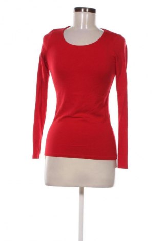 Γυναικεία μπλούζα Amisu, Μέγεθος XS, Χρώμα Κόκκινο, Τιμή 9,72 €