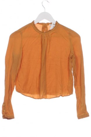 Damen Shirt Bershka, Größe XS, Farbe Gelb, Preis 9,72 €