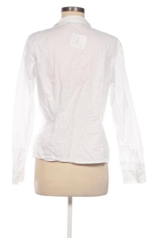 Damen Shirt Betty Barclay, Größe M, Farbe Weiß, Preis 24,49 €