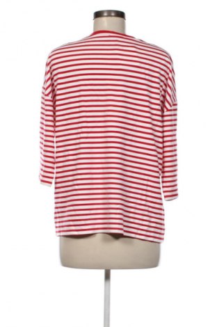 Γυναικεία μπλούζα Bexleys, Μέγεθος XL, Χρώμα Πολύχρωμο, Τιμή 7,99 €