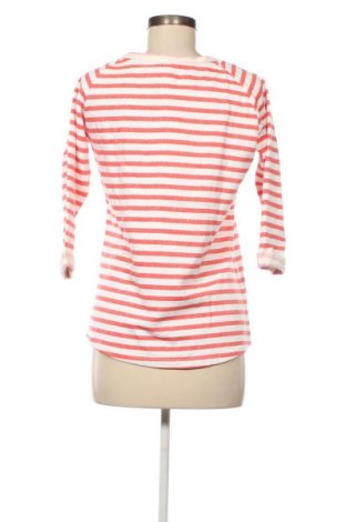 Γυναικεία μπλούζα Blue Motion, Μέγεθος S, Χρώμα Πολύχρωμο, Τιμή 4,99 €