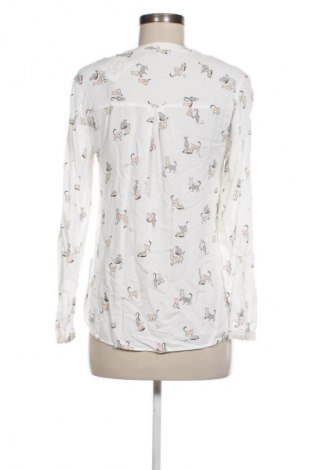 Dámská halenka Clockhouse, Velikost S, Barva Vícebarevné, Cena  247,00 Kč