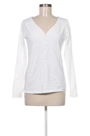 Damen Shirt Collection, Größe XL, Farbe Weiß, Preis 9,72 €