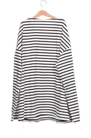 Damen Shirt DAZY, Größe M, Farbe Mehrfarbig, Preis 11,99 €