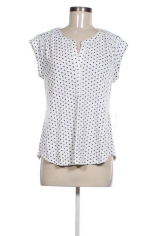 Bluzka damska Daniel Rainn, Rozmiar M, Kolor Kolorowy, Cena 166,99 zł