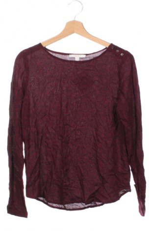 Γυναικεία μπλούζα Esprit, Μέγεθος XS, Χρώμα Πολύχρωμο, Τιμή 5,99 €