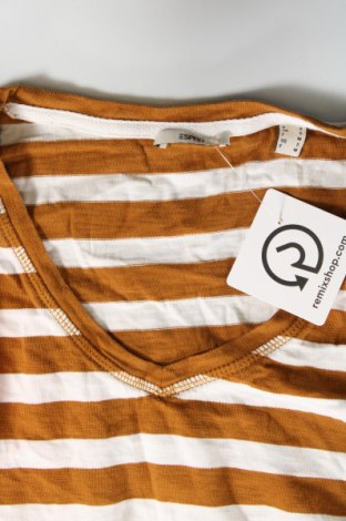 Damen Shirt Esprit, Größe S, Farbe Mehrfarbig, Preis 8,99 €