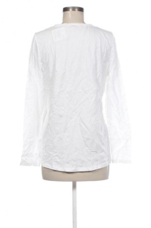 Γυναικεία μπλούζα Esprit, Μέγεθος XXL, Χρώμα Πολύχρωμο, Τιμή 7,99 €