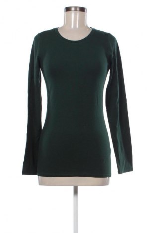 Damen Shirt Fashion nova, Größe L, Farbe Grün, Preis € 16,00