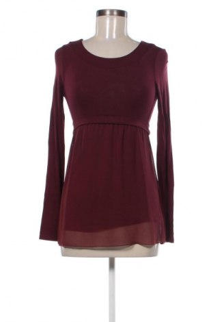 Damen Shirt Intimissimi, Größe S, Farbe Rot, Preis 10,00 €