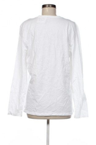 Γυναικεία μπλούζα Laura Torelli, Μέγεθος XL, Χρώμα Λευκό, Τιμή 7,99 €