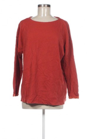 Γυναικεία μπλούζα Laura Torelli, Μέγεθος XL, Χρώμα Πολύχρωμο, Τιμή 6,99 €