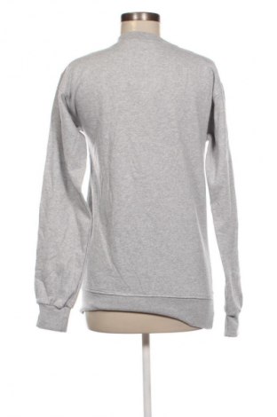 Γυναικεία μπλούζα Looney Tunes, Μέγεθος M, Χρώμα Γκρί, Τιμή 7,99 €