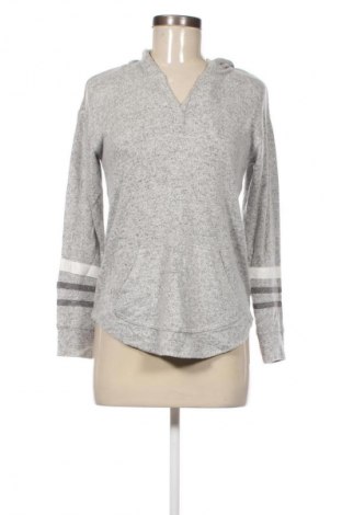 Damen Shirt Market&Spruce, Größe XS, Farbe Grau, Preis 16,99 €