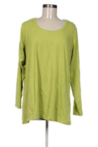 Damen Shirt Miss Etam, Größe XXL, Farbe Grün, Preis € 13,99