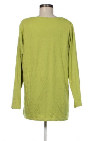 Damen Shirt Miss Etam, Größe XXL, Farbe Grün, Preis € 13,99