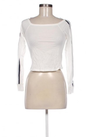 Damen Shirt Motel, Größe S, Farbe Weiß, Preis 17,00 €