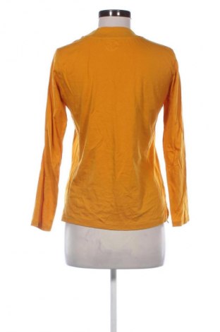 Damen Shirt Next, Größe XS, Farbe Gelb, Preis € 17,36