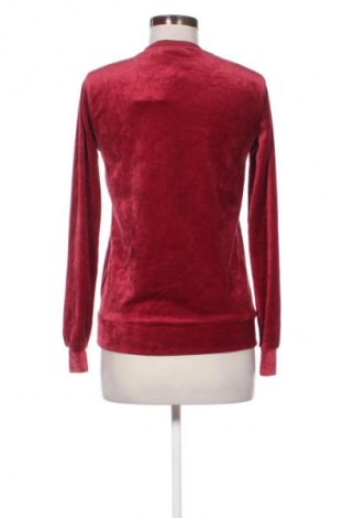 Damen Shirt Nielsson, Größe XS, Farbe Mehrfarbig, Preis 16,37 €
