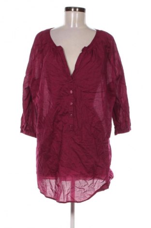 Γυναικεία μπλούζα Rainbow Collection, Μέγεθος XL, Χρώμα Βιολετί, Τιμή 6,99 €