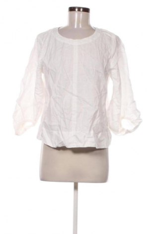 Γυναικεία μπλούζα Seed, Μέγεθος M, Χρώμα Λευκό, Τιμή 8,99 €