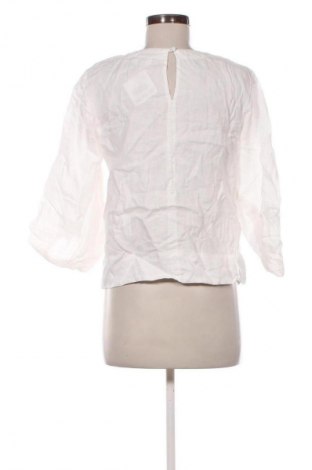 Γυναικεία μπλούζα Seed, Μέγεθος M, Χρώμα Λευκό, Τιμή 8,99 €