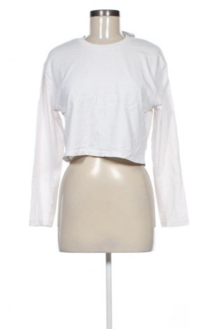 Damen Shirt Stradivarius, Größe M, Farbe Weiß, Preis 9,72 €