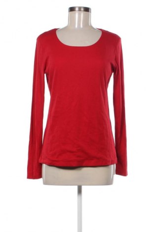 Damen Shirt Street One, Größe M, Farbe Rot, Preis 17,00 €