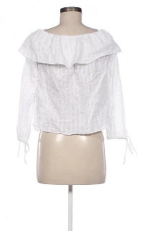 Damen Shirt Suzy Shier, Größe M, Farbe Weiß, Preis 9,72 €