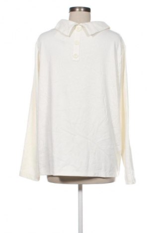 Damen Shirt Taifun, Größe XL, Farbe Weiß, Preis 11,99 €