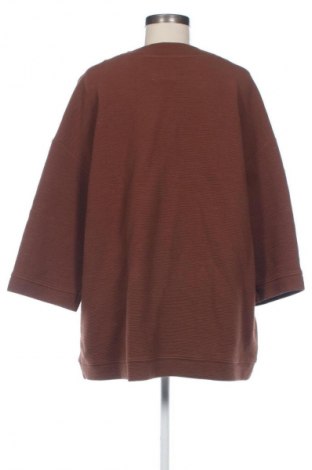Damen Shirt Triangle, Größe XXL, Farbe Braun, Preis 24,57 €