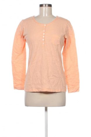 Γυναικεία μπλούζα Up 2 Fashion, Μέγεθος S, Χρώμα Πορτοκαλί, Τιμή 4,99 €