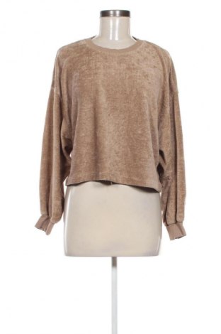 Damen Shirt Zara, Größe S, Farbe Braun, Preis € 5,99